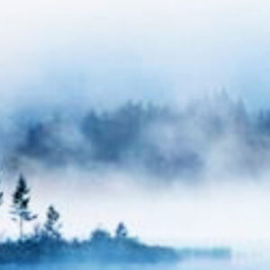 Séance individuelle